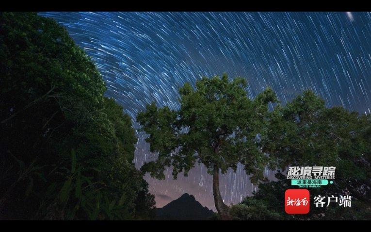 名画来找茬