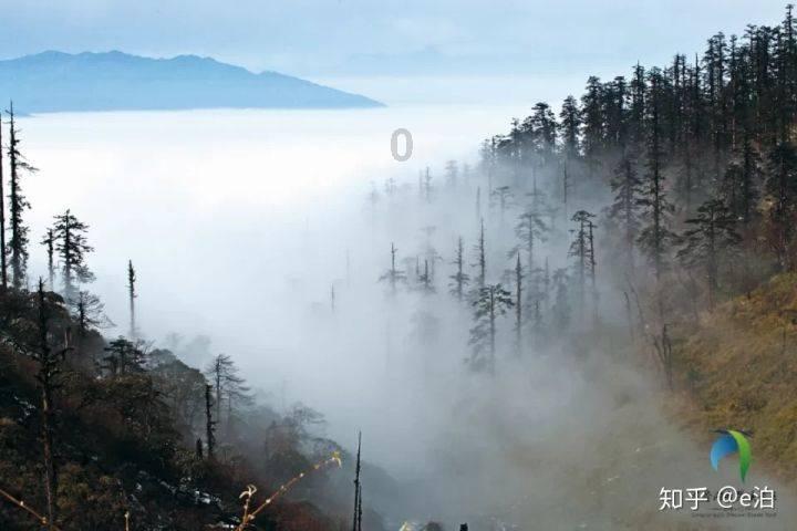 过年了，大家买年货去哪?辽展大集是你英明的选择，会让你挑花眼
