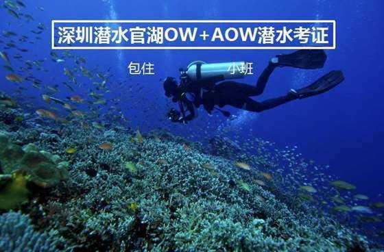 引用论证方法写作文游戏画面