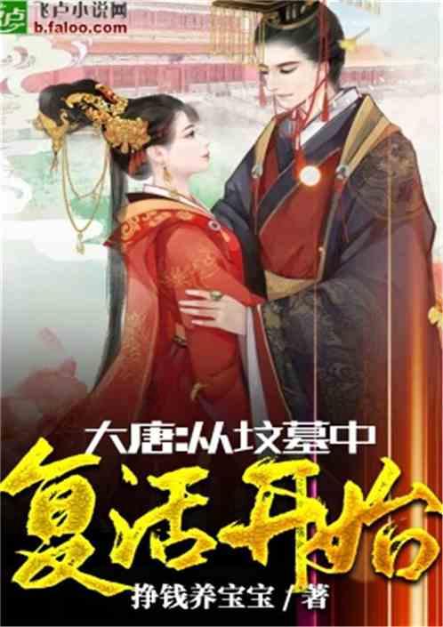 机甲英豪D