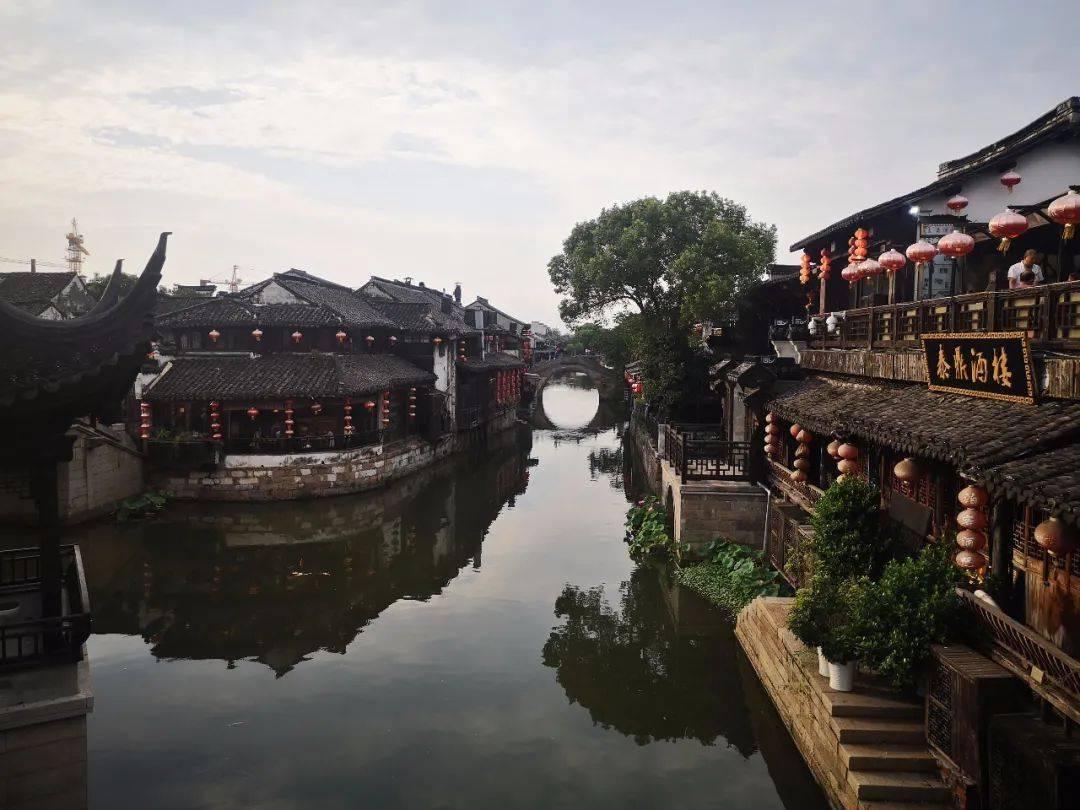 拯救树精灵